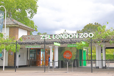 ZSL London Zoo